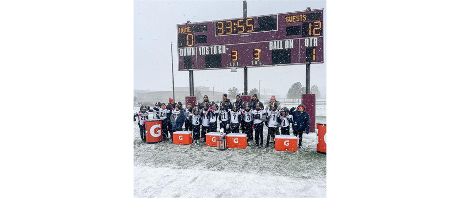 9U D3 Chicagoland and Regional Champions 