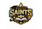 92 Plainfield Saints student-athletes named Chicagoland Pop Warner All-American Scholars!